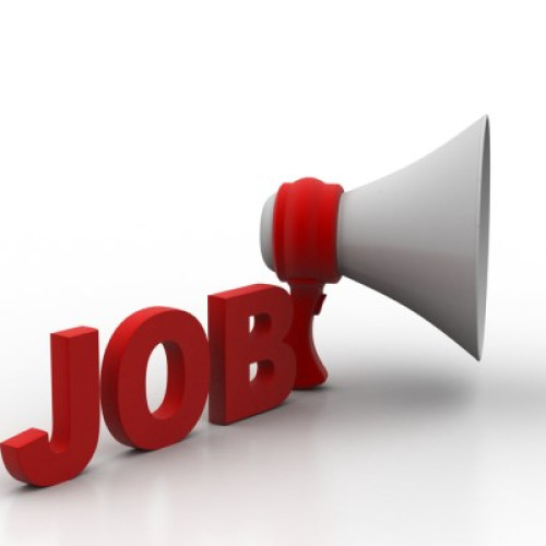 Angajatorii din Spațiul Economic European oferă 181 de locuri de muncă vacante