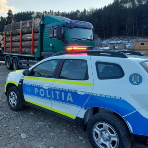 Polițiștii vranceni protejează pădurile în 2024