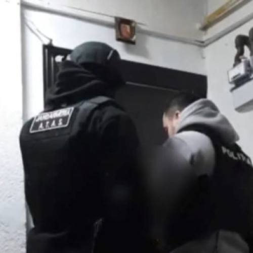 Trei rețele de criminalitate organizată destructurate în România