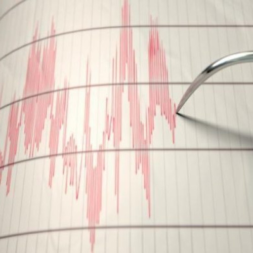 Un nou cutremur în zona seismică Vrancea