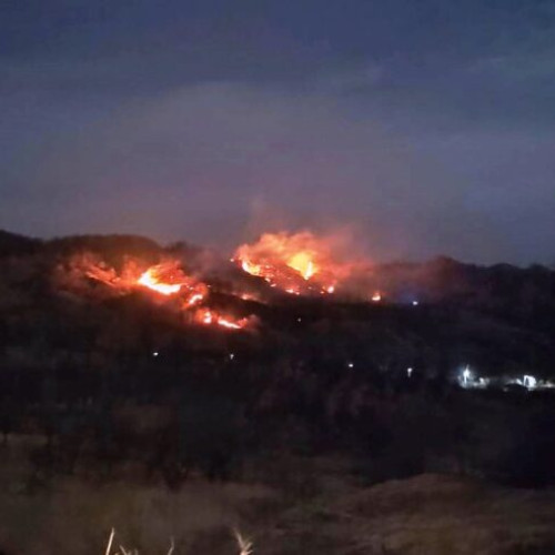 Incendii de vegetație la Dumitresti și Tinoasa, pompierii luptă cu flăcările