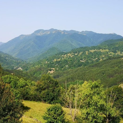 Vânt puternic în Muntii Vrancei, Avertizare Cod Galben