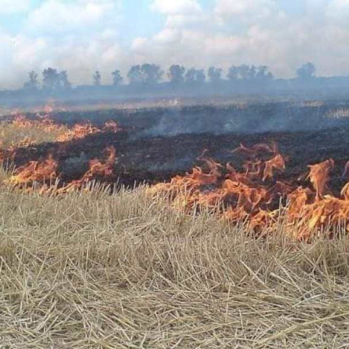 Incendiu de vegetație în comuna Fitionești