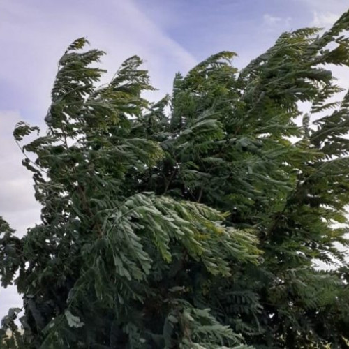 Vreme severă anunțată de meteorologi