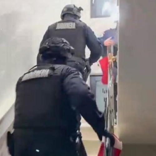Grup infracțional organizat destructurat în Vrancea, Buzău, Neamț și București