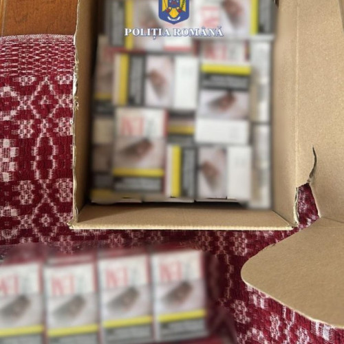 Pentru contrabanda, camătă și șantaj: Tineri și persoane în vârstă reținute în Vrancea