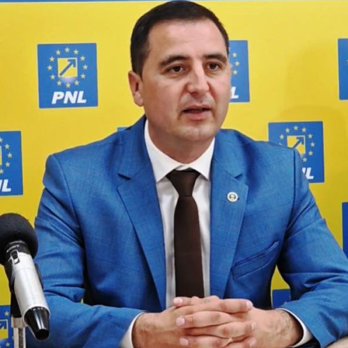 decizie controversată a CCR duce la închidere parțială a declarațiilor de avere