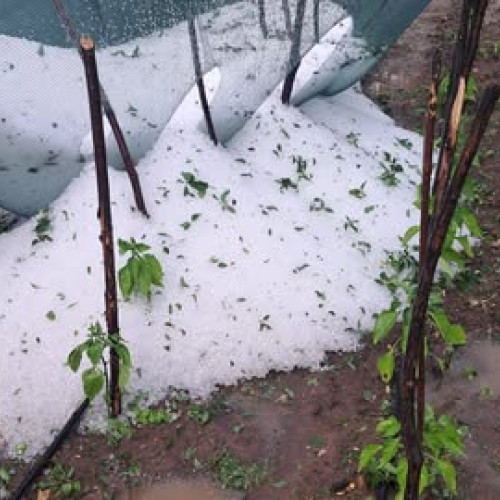 Furtuna din Vrancea a provocat pagube semnificative pe 4 iunie