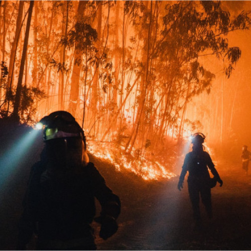 „Hățișul și pădurile invadează satele”: Cum contribuie abandonarea zonelor rurale la producerea incendiilor devastatoare din Europa