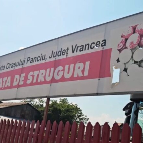Piața strugurilor din Panciu deschide un spațiu pentru producători