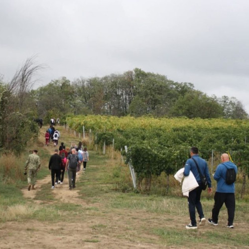 Traseu de trekking prin vii din Odobești, însoțit de degustări de must și tradiții vinicole