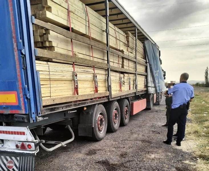 Acțiune comună pentru verificarea exploatării lemnului în Vrancea: 53 controale și 28 de sancțiuni