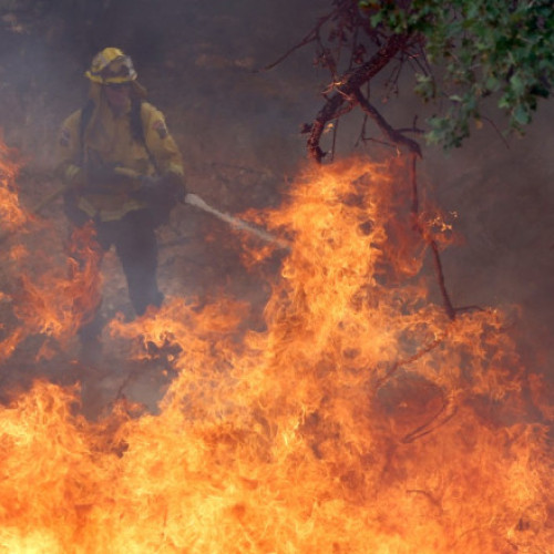Incendiile din California pun în pericol sequoia, simbolul natural al regiunii
