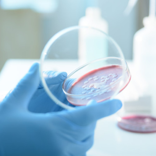 Anchetă la spitalul „Sfânta Maria” din Iași după șase decese suspecte asociate cu o bacterie